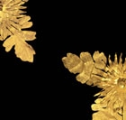 A PAIR OF CUT GOLD FOLIATE HAIR ORNAMENTS