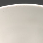 A DINGYAO WHITE PORCELAIN ‘PRUNUS BLOSSOM’ BOWL