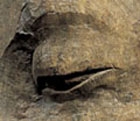 A MONUMENTAL STONE HEAD OF BUDDHA