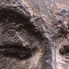 A SMALL DARK GRAY STONE RELIEF HEAD OF A BODHISATTVA