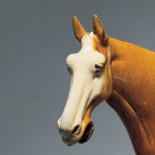 AN AMBER-GLAZED POTTERY FIGURE OF A HORSE